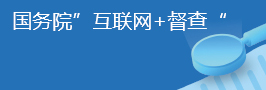 國務(wù)院互聯(lián)網(wǎng)+督查